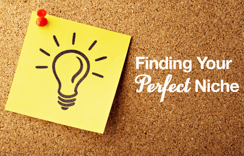 Finding the perfect niche
